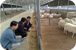 现场指导学员卢维平