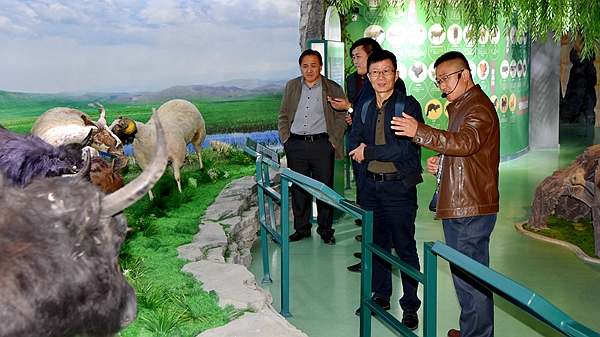 http://news.gsau.edu.cn/__local/5/9A/BB/2B8EE81AF38799E038F38A90436_E4F6E285_3B220.jpg